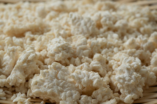 The "National Mold" Story: Why Koji is Japan’s Iconic Super-Microbe — From Ancient Wisdom to Sustainable Future