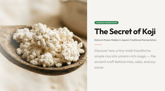 The Secret of Koji: Nature’s Power Hidden in Japan’s Traditional Fermentation